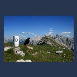 2010-07-09_14-17_Karwendel-HW_Grat5_Abstieg_B-Grat6_D_Dohle1 (1)b__x.JPG